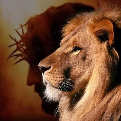 HerdyRo's profile picture. 