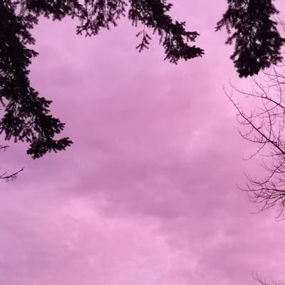 aaron_brod3107's profile picture. 