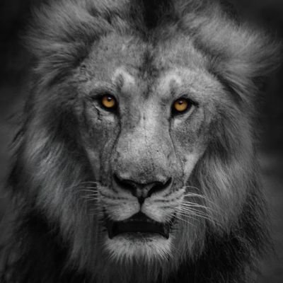 99billionsC's profile picture. 😜