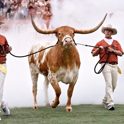 Texan | Hook ‘em | Longhorn & Saints Fan | TV Enthusiast