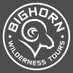 Bighorn Wilderness Tours (@BighornWildTour) Twitter profile photo