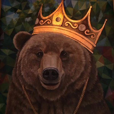 SGBear2 Profile Picture