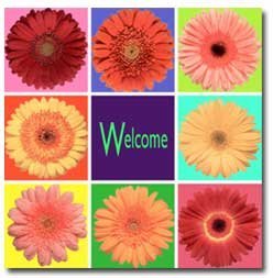 FlowerDesign101's profile picture. Flower design courses taught in Milwaukee, San Francisco, Los Angeles, San Diego, Minneapolis, Chicago, New York and Miami.