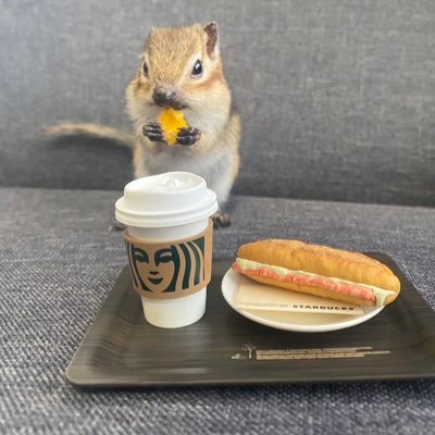 (緑嵐'◇')/✨さんのプロフィール画像