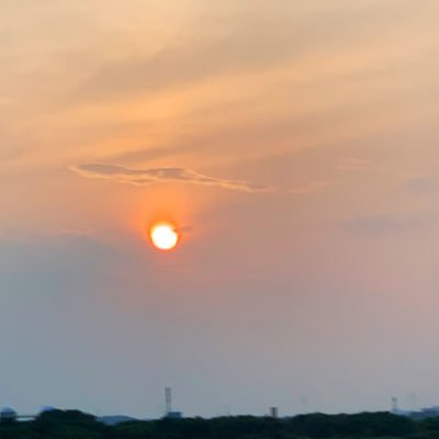 ieotmam's profile picture. 2023年7月に2歳5ヶ月の息子が 痙攣重積型二相性脳症を突然発症。 肢体不自由、障害児になってしまいました。障害手帳を申請中。 現在3歳になり、首は座ったけれど、まだ座位とれず。 週２回のリハビリ通っています。 発病前の息子の動画や写真は未だに見ることはできません。 夜のふとした時に絶望感を感じる事あり。。