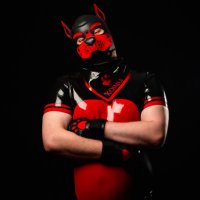 Koinu no Kōkishin (@koinunokokishin) 's Twitter Profile Photo Koinu no Kōkishin (@koinunokokishin) 's Twitter Profile Photo