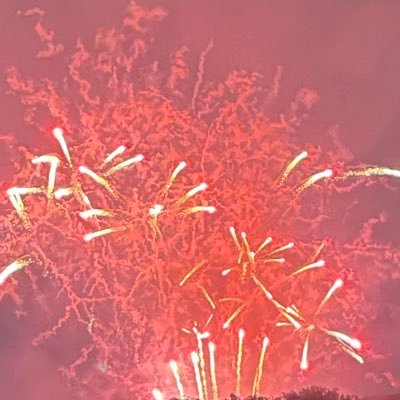 niziikairi593's profile picture. 元n＝k＝1　大数特選
早慶蹴り🦵🦵地方国公立
自称花火職人