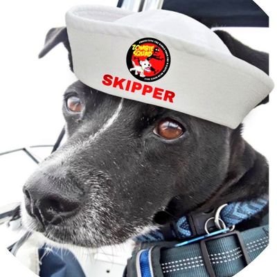 STheboatdog Profile Picture