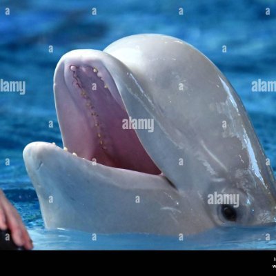 Michael55040082's profile picture. 