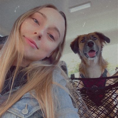 slikmik's profile picture. if I die, delete my ChatGPT history