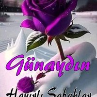 Olgun pasif (@yuksek7371) 's Twitter Profile