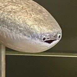 Haz_Hazru's profile picture. Hazru