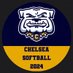 Chelsea Softball (@dawg_softball) Twitter profile photo