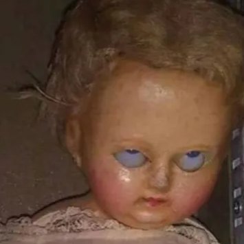 bad_she_wolfie's profile picture. One look in her lusting eyes
Savage fear in you will rise
Teeth of terror sinking in
The bite of the She-Wolf

**LIBERAL DE MILEI**