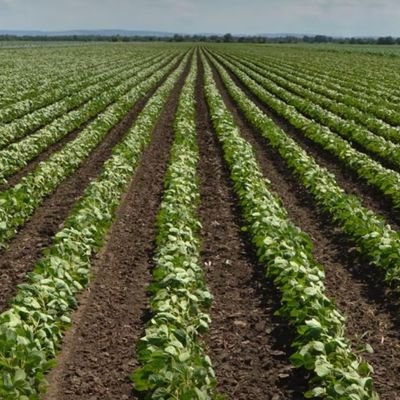 Sin productores agropecuarios, no hay comida.