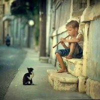 احمد مدخلي (@ahmedmadkali1) 's Twitter Profile