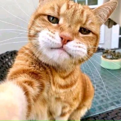 tzz233's profile picture. 