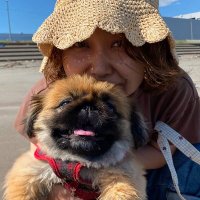 心理カウンセラー 三浦望 (@hr_m_nozomi) 's Twitter Profile Photo 心理カウンセラー 三浦望 (@hr_m_nozomi) 's Twitter Profile Photo
