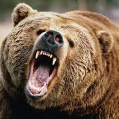 HamzaBenHY1's profile picture. Ur brain 🧠 can't let you switch to the right side of the trend when you are deep in the s** Hole.