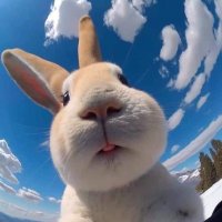 Tio Cone (@jorgeleonrm) 's Twitter Profile Photo