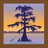 SwampHead's profile image