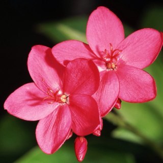 loritompsett's profile picture. live life to the fullest !!!