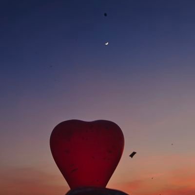 thehimanshu18's profile picture. in search of A Selenophile