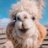 soleiyu_animal's profile image