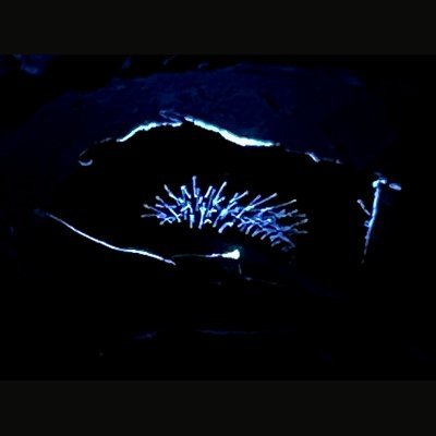 とある研究室で研究中。 博士(理学)。東京大学理学部物理学科卒業、東京大学大学院理学系研究科物理学専攻博士課程修了。ピアノ弾きます。 noteでの物理エッセイ「ミクロコスモスより」が書籍になりました✍『美しい物理の小宇宙 29歳の東大理学博士が語る、日常の世界から原子核まで29の物語』(二見書房)