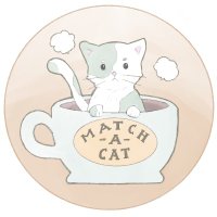 match-A-cat(@matchAcat30) 's Twitter Profile Photo