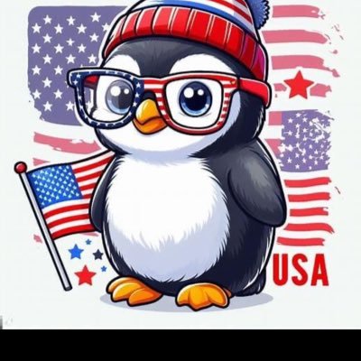 I love Penguins 🐧🐧Pittsburgh Penguins! Faith, Family and Flag! President❤️Trump! God Bless This Beautiful Country! ❤️🇺🇸💙 #MAGA #NRA #LIVEPD #BACKTHEBLUE
