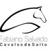 Fabiano Salvado (@fabianosalvado) Twitter profile photo