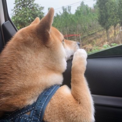 TishaBr57067227's profile picture. 
