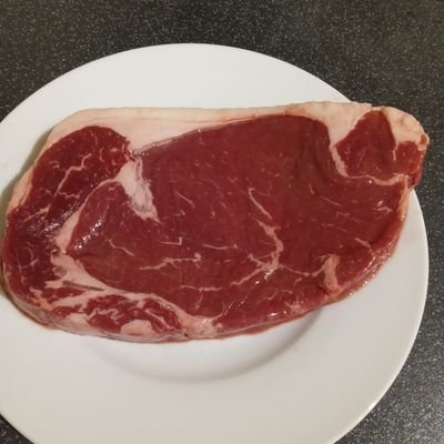 steaktastic Profile Picture