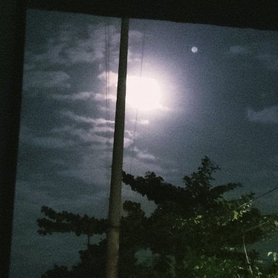 iokeithe's profile picture. 𝗡𝗢𝗧 𝗦𝗣𝗢𝗜𝗟𝗘𝗥 𝗙𝗥𝗘𝗘❗