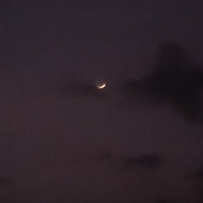 Meher93512892's profile picture. 