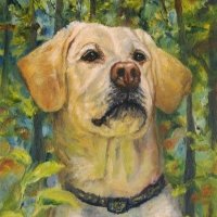 Jace Kuhn (@kuhnjace51115) 's Twitter Profile