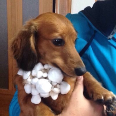 8Vpmw's profile picture. 