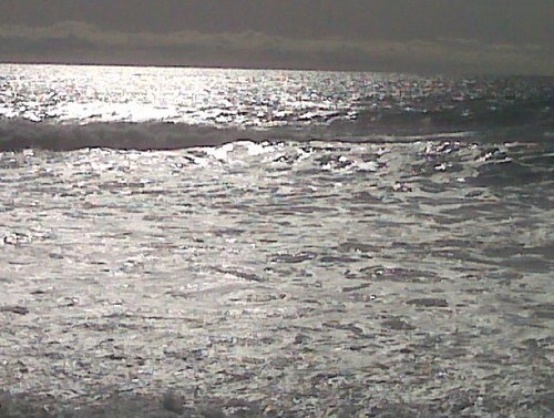 gnatar316's profile picture. Entrepreneur