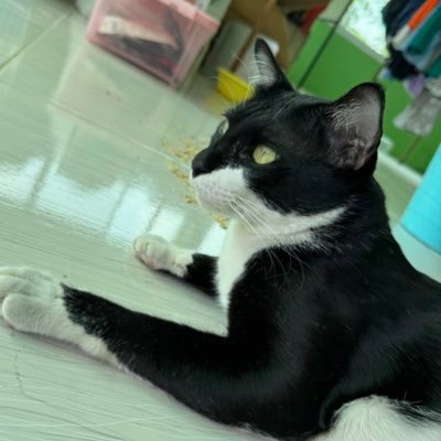 sandyysmiling's profile picture. Hello~ พื้นที่ความสุขของฉัน