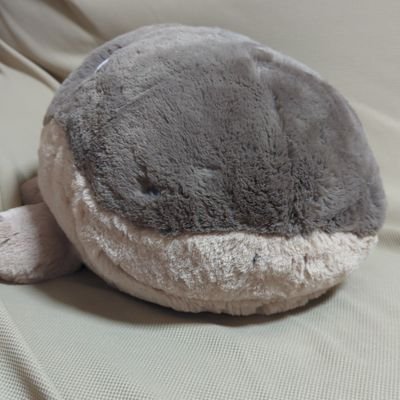 SirozakiRiku's profile picture. 