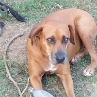 Veronica Senger (@sengervero82586) 's Twitter Profile