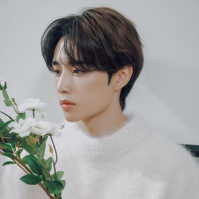 #SUNWOO poca enjoyer(。•̀ᴗ-)✧ plz mention/like after dm?! kadang DM suka gk masuk🥲
