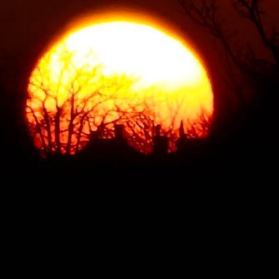 Kiril346765's profile picture. #GlazersOut
don't forget they are still taking money out of our club