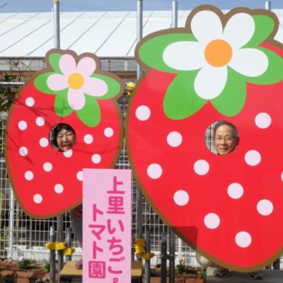 K_ichigo_tomato's profile picture. 上里いちご&トマト園は、上里スマートIC前にあるイチゴ&トマト園です。 関越道沿いで最も近いイチゴ狩り体験！ 旅の目的地に、経由地に、是非お越しください。