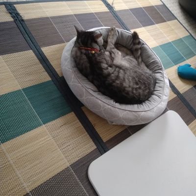 fjtU7cGkBm52884's profile picture. 