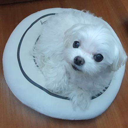 밀러즈さんのプロフィール画像