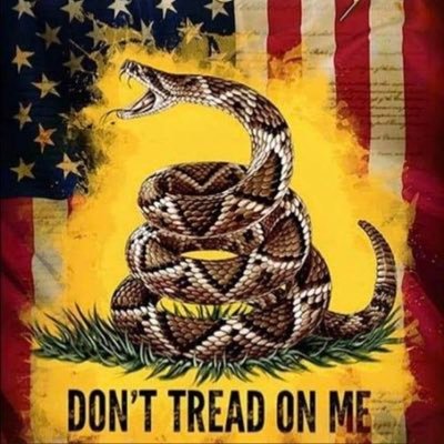 Mighty1488's profile picture. Proud USN Navy Veteran ⚓️. Far right conservative. No race mixing. We must secure the existence of our people and a future for white children!