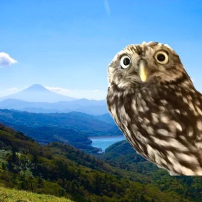 tsutom_mdms's profile picture. 