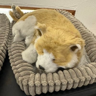 うどんさんのプロフィール画像